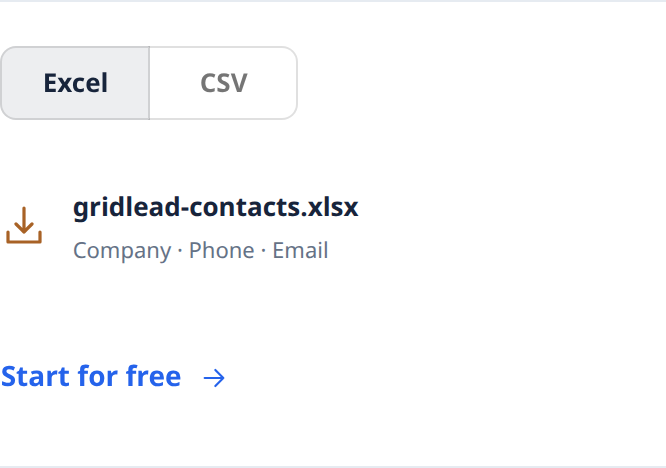 Excel/CSV-Formatvorschau in GridLead. Beispiel-Dateiname, keine heruntergeladene Arbeitsmappe.